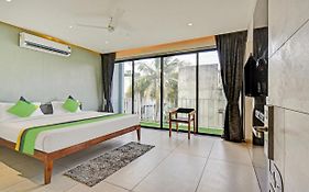 Treebo Aroma Executive